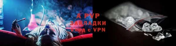 сатива Алексеевка