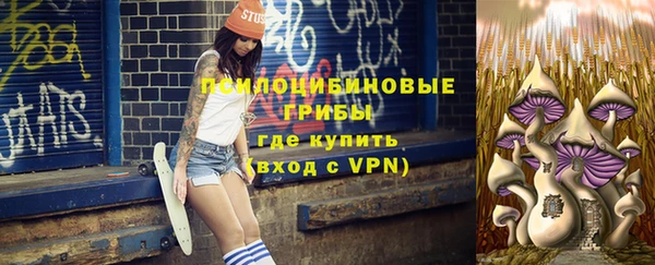 герыч Алексин