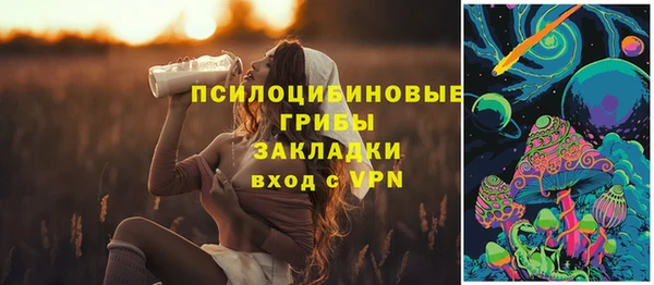 герыч Алексин
