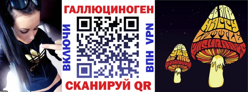 blacksprut зеркало  Златоуст  Псилоцибиновые грибы Psilocybe 